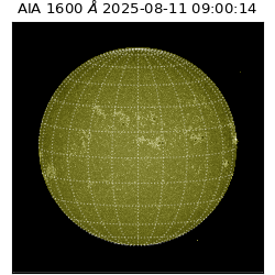 saia - 2025-08-11T09:00:14.125000