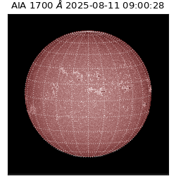 saia - 2025-08-11T09:00:28.717000