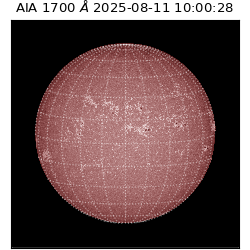 saia - 2025-08-11T10:00:28.718000