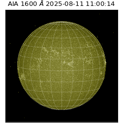 saia - 2025-08-11T11:00:14.126000