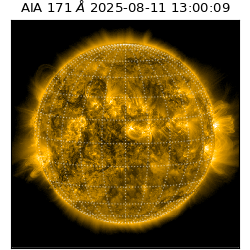 saia - 2025-08-11T13:00:09.351000