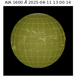 saia - 2025-08-11T13:00:14.126000