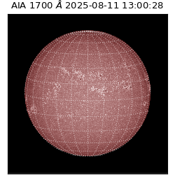 saia - 2025-08-11T13:00:28.734000