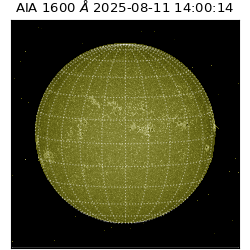 saia - 2025-08-11T14:00:14.130000