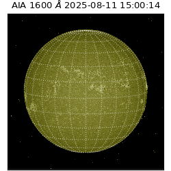 saia - 2025-08-11T15:00:14.126000