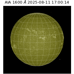 saia - 2025-08-11T17:00:14.126000