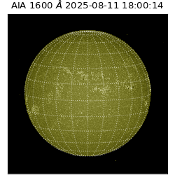 saia - 2025-08-11T18:00:14.126000