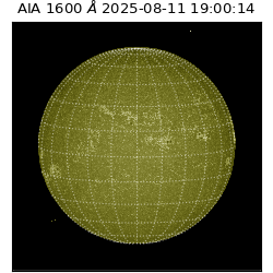 saia - 2025-08-11T19:00:14.126000