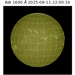 saia - 2025-08-11T22:00:14.130000