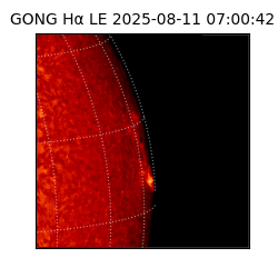 gong - 2025-08-11T07:00:42