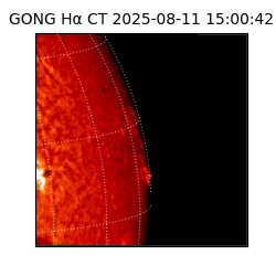 gong - 2025-08-11T15:00:42