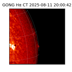 gong - 2025-08-11T20:00:42