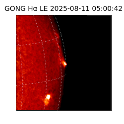 gong - 2025-08-11T05:00:42