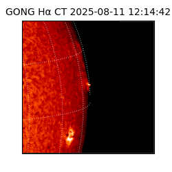 gong - 2025-08-11T12:14:42