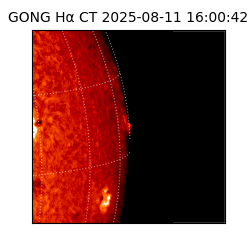 gong - 2025-08-11T16:00:42