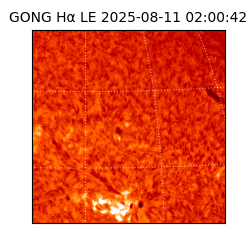 gong - 2025-08-11T02:00:42