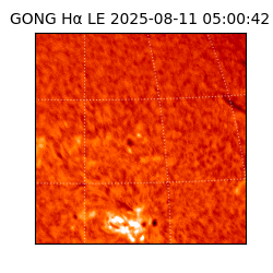 gong - 2025-08-11T05:00:42