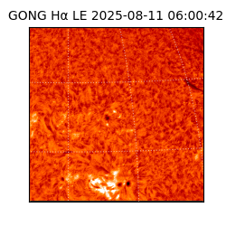 gong - 2025-08-11T06:00:42