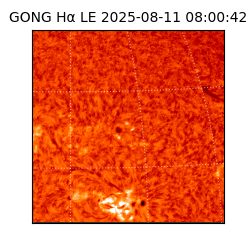 gong - 2025-08-11T08:00:42