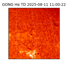 gong - 2025-08-11T11:00:22