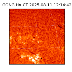 gong - 2025-08-11T12:14:42