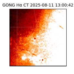 gong - 2025-08-11T13:00:42