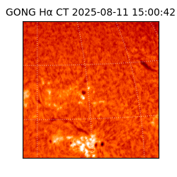 gong - 2025-08-11T15:00:42