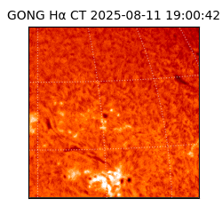 gong - 2025-08-11T19:00:42