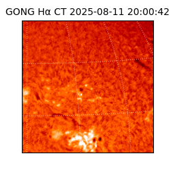 gong - 2025-08-11T20:00:42