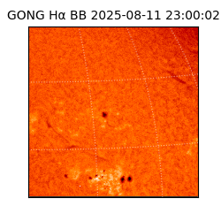 gong - 2025-08-11T23:00:02