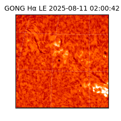 gong - 2025-08-11T02:00:42