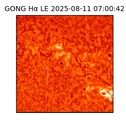 gong - 2025-08-11T07:00:42