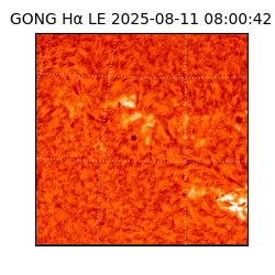 gong - 2025-08-11T08:00:42