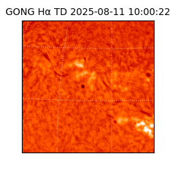 gong - 2025-08-11T10:00:22