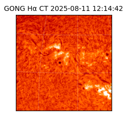 gong - 2025-08-11T12:14:42