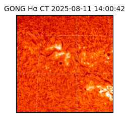 gong - 2025-08-11T14:00:42