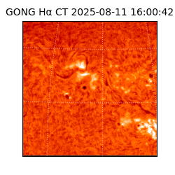 gong - 2025-08-11T16:00:42