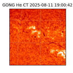 gong - 2025-08-11T19:00:42