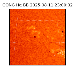 gong - 2025-08-11T23:00:02