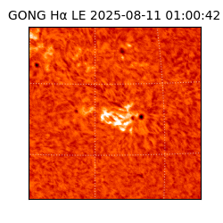 gong - 2025-08-11T01:00:42