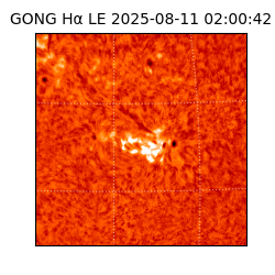 gong - 2025-08-11T02:00:42