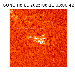 gong - 2025-08-11T03:00:42