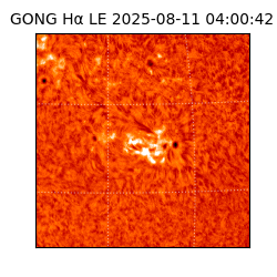 gong - 2025-08-11T04:00:42