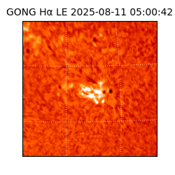 gong - 2025-08-11T05:00:42