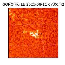 gong - 2025-08-11T07:00:42