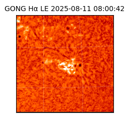 gong - 2025-08-11T08:00:42