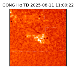 gong - 2025-08-11T11:00:22