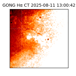 gong - 2025-08-11T13:00:42