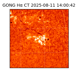 gong - 2025-08-11T14:00:42