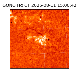 gong - 2025-08-11T15:00:42